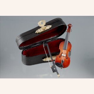 Violine, Geige im Geigenkasten