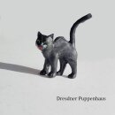 Schwarze Katze mit Buckel